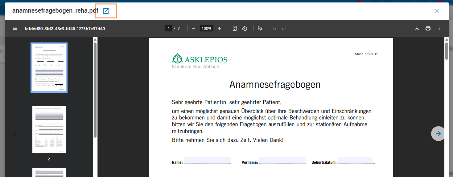 PDF Ansicht in eigenem Fenster