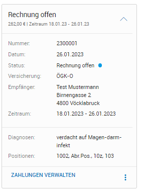 Detailinformationen zur offenen Rechnung Detailinformationen zur offenen Rechnung
